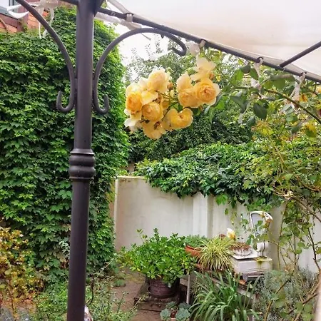 Appartamento Thebackyard *