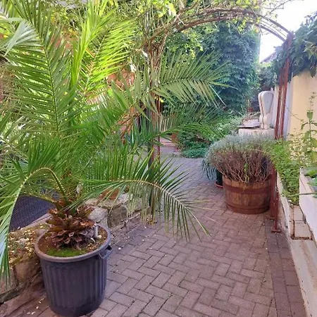 Appartamento Thebackyard *