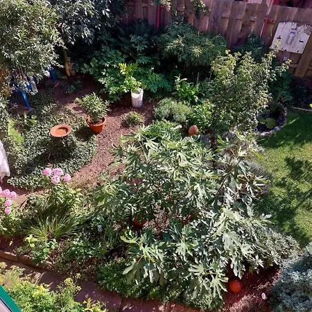 Thebackyard Apartment