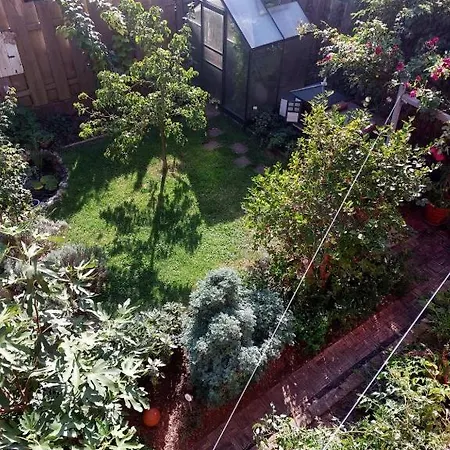 Thebackyard *