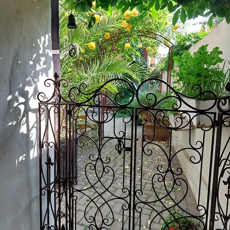 Thebackyard * Osterwieck