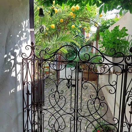 Thebackyard * Osterwieck