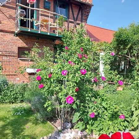 Thebackyard Apartman *