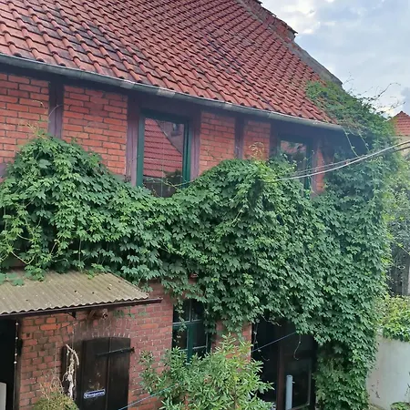Thebackyard * Osterwieck