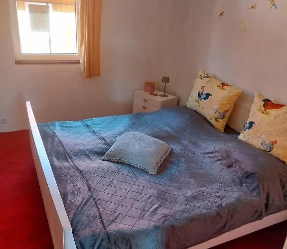 Thebackyard * Osterwieck