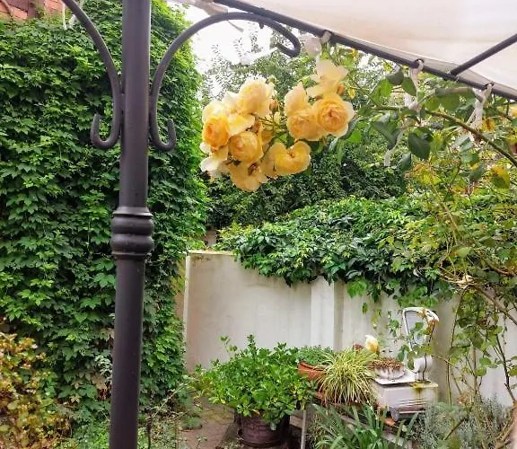 아파트 Thebackyard *