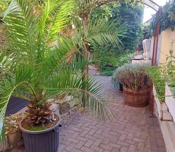 아파트 Thebackyard *