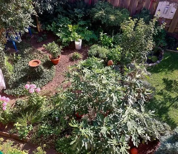 Thebackyard 아파트