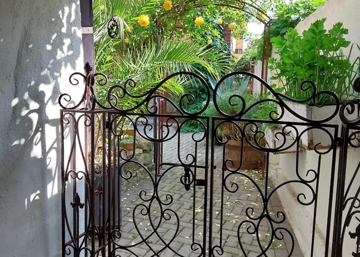 Thebackyard * Osterwieck